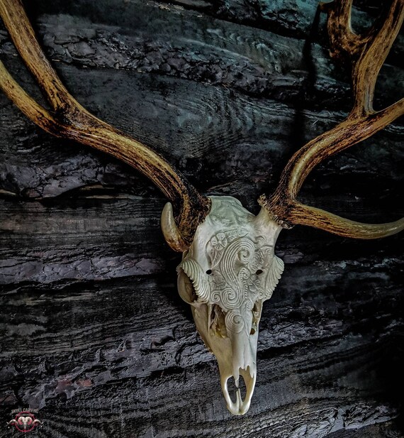 Engraved Fallow Deer Skull: Floral Carved Ornament, Custom