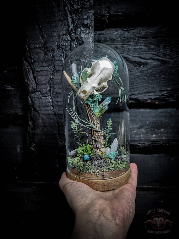 Mink Skull & Antler Display Dome: Quartz Crystals, Moss, Woods - Etsy