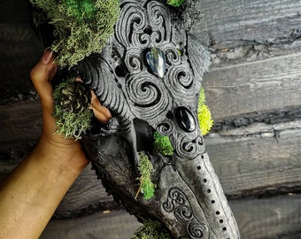 ブレスボック（Blesbok）スカルホーン Blesbok Skull | Blesbok Skulls | Hand Picked