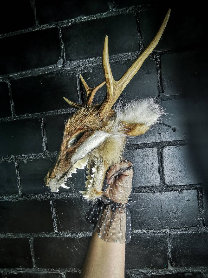 Creepy Red Fox Skull Taxidermy With Roe Deer Antlers & Quartz Ball