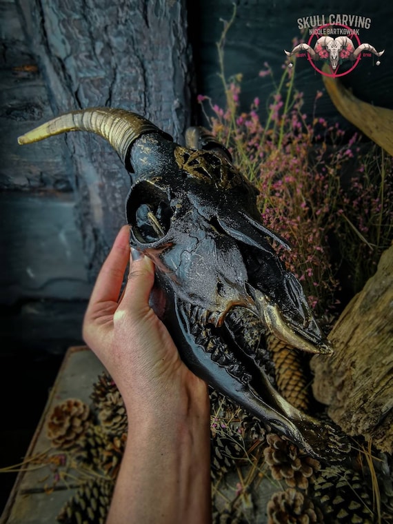 彫刻されたヤギの頭蓋骨：五芒星の彫刻、ゴシック様式の装飾 - Etsy 日本