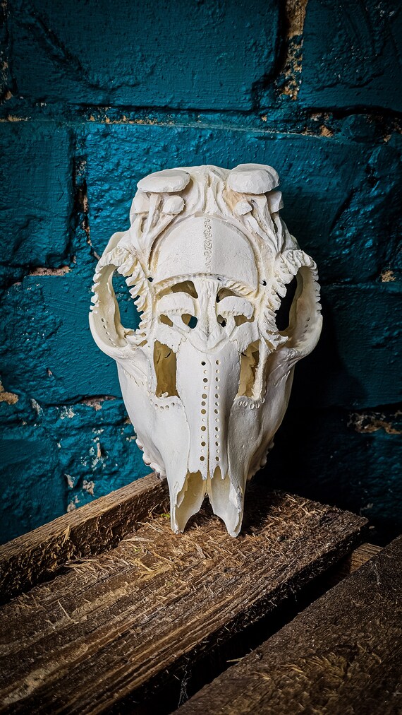 Real Skull Mushrooms Roe Deer Wall Flower Pot Sculpture