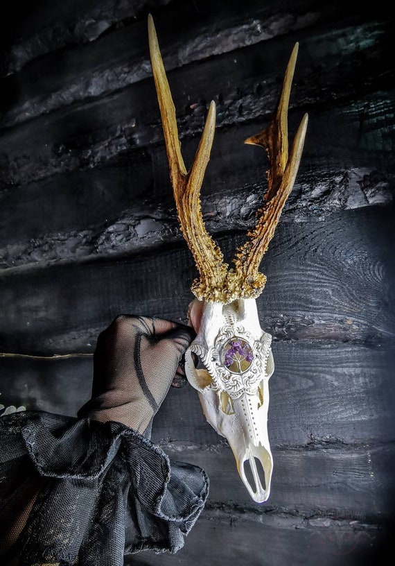 彫刻されたノロジカの頭蓋骨：アメジストの生命の樹をあしらった