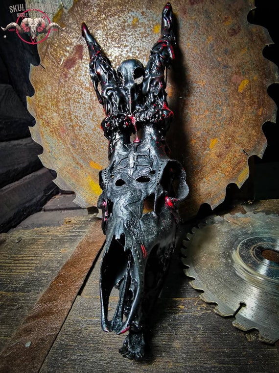 Amazon.com: Nemesis Now B4040K8 Little Monster Skull