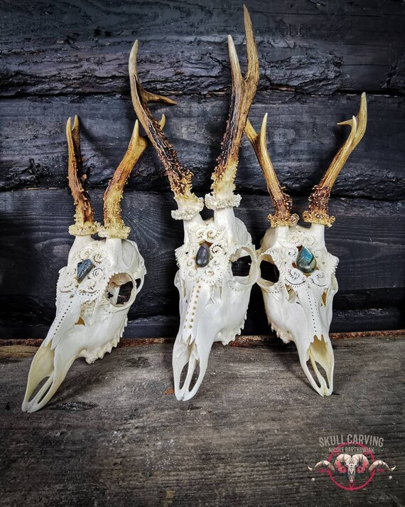 Made to order Real Roe deer skull with engraved ornaments carving gift girlfriend filigree buck unique crystal stone carnelian cornelian