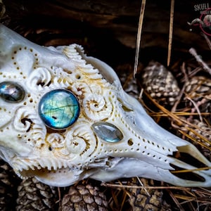 Real roe deer skull with 3 stones- multiple options! With handmade unique engraved filigree design Made to order  lamp. Headpiece. Custom