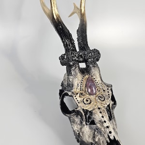 あ*の様 archive Roen scull design real leat Affordable Real Animal Skull Art Roe Deer With Engraved