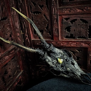 Real Roe Deer Skull Art With Engraved Design Ornaments Labradorite Gray ...