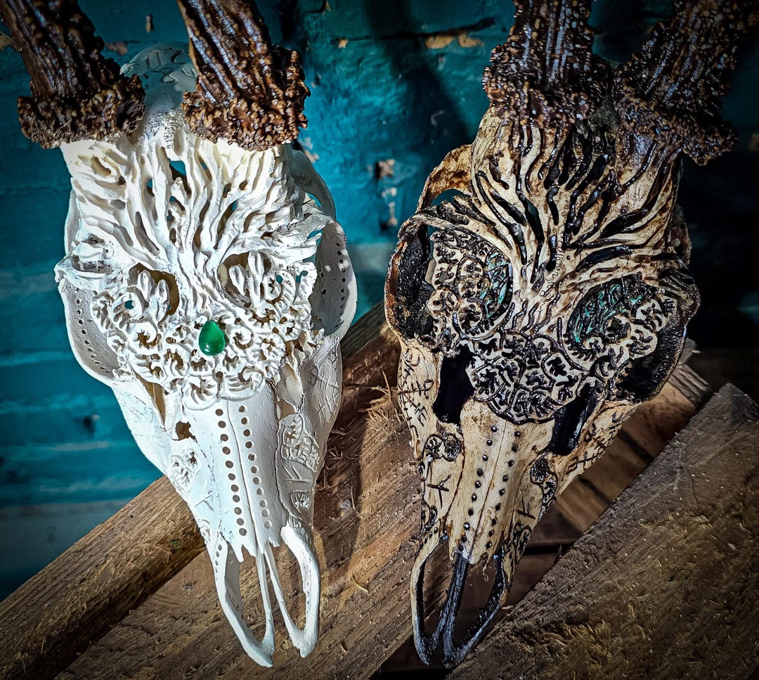 Engraved Roe Deer Skull: Tree of Life, Algiz, Vegvisir - Etsy Israel