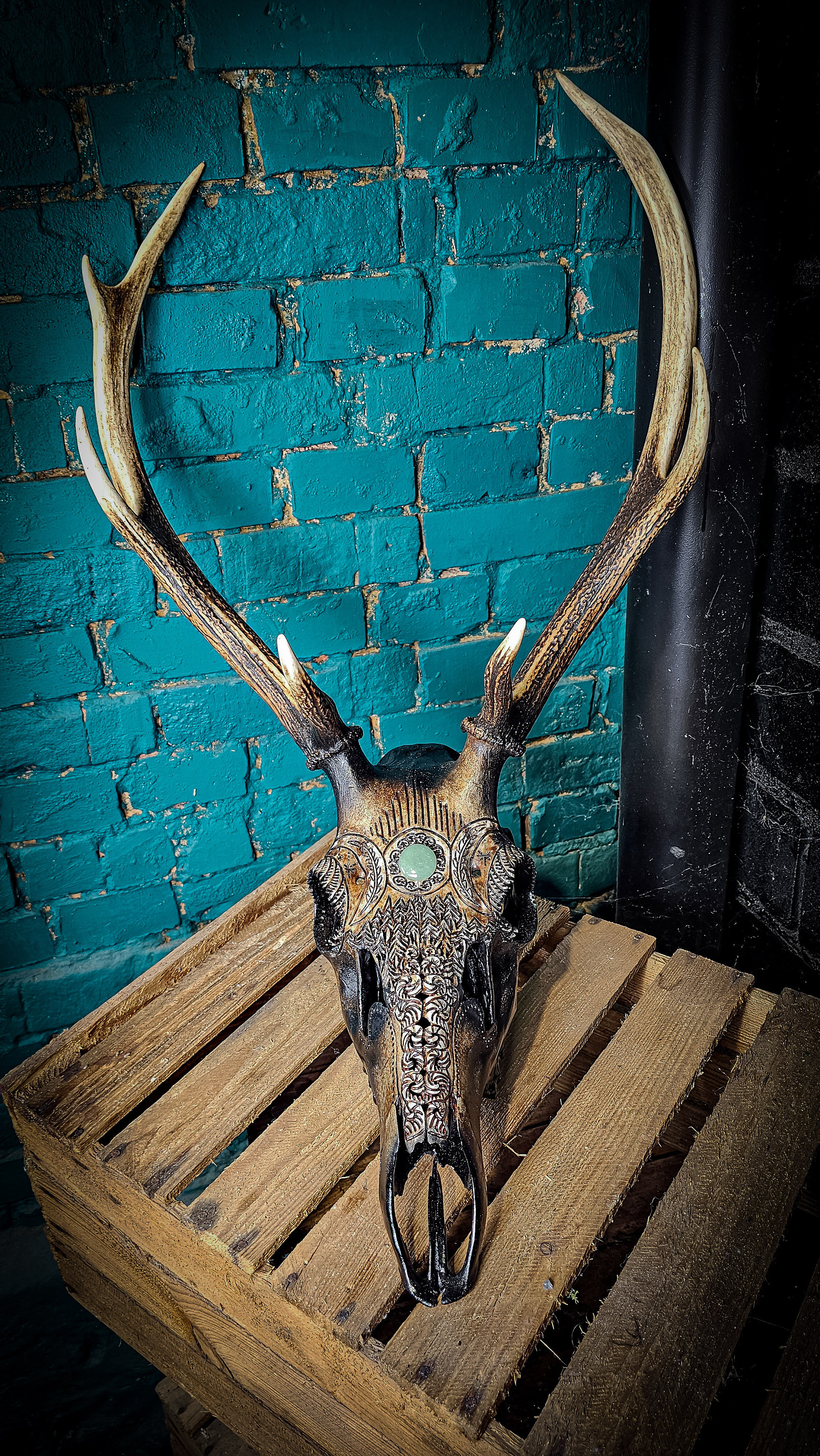 蝦夷鹿hunting trophy（deer skull） 蝦夷鹿hunting trophy（deer skull） 61NRywUfJiL._UF894