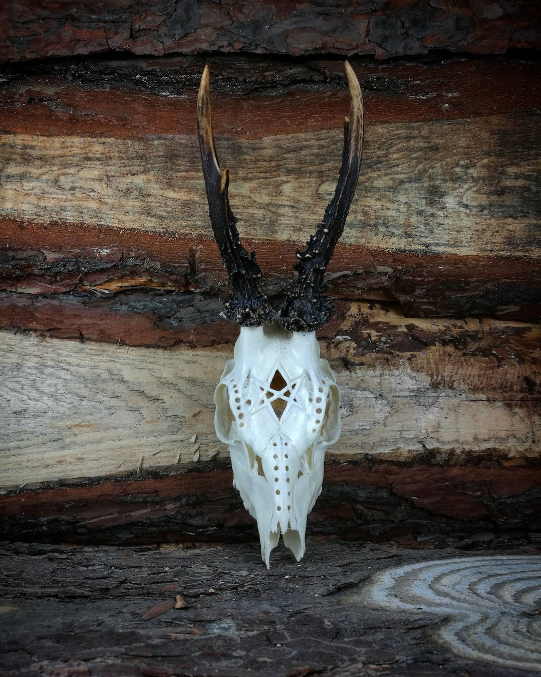 Engraved Roe Deer Skull: Pentagram Satanic Art, Made to Order - Etsy