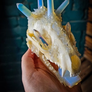 Made to order Real Raccoon skull with raw opalite stones
