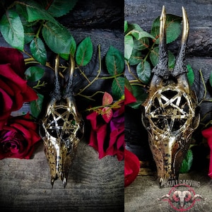 Roe deer skull with engraved design pentagram painted gold black real bone gift idea evil 666 satan samael devil  boyfriend girlfriend led