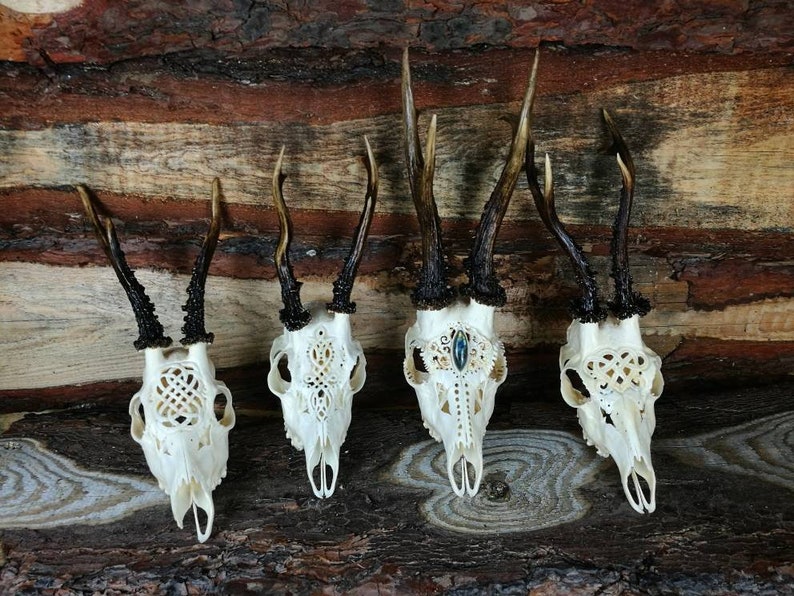 Made to order Real Roe deer skull with engraved ornaments carving gift girlfriend filigree buck unique crystal stone carnelian cornelian