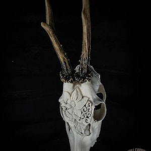 Made to order Carved roe deer skull decoration real bone carving flowers flourish design led flower petals magnolia