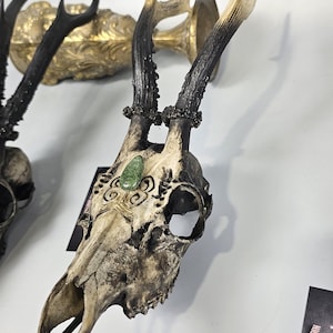 Echter Reh Schädel mit graviertem Design und grünem Achat Cabochon schwarz grau golden