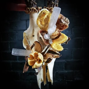 Roe Deer Skull with Antlers, Selenite, Quartz & Yellow Flowers - Wall Mount