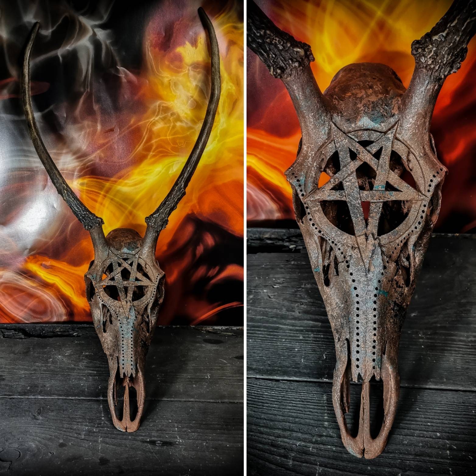 P*u様 蝦夷鹿hunting trophy （deer skull） Amazon.com: Ebros Gift Rustic Hunter Deer 10 Point Buck