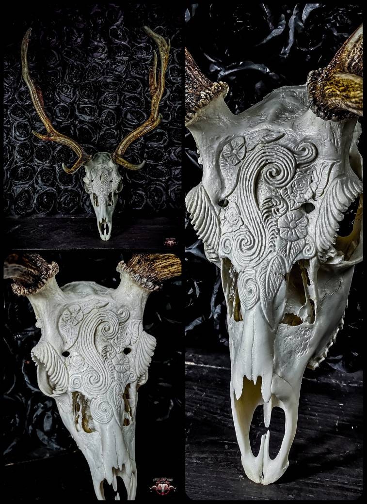 Engraved Fallow Deer Skull: Floral Carved Ornament, Custom