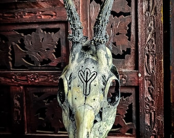 il_340x270.5565079464_k2e7.jpg