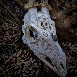 Made to order Roe deer skull engraved huge impressive pentacle 666 evil satan carving gift boyfriend girlfriend mother father buck light