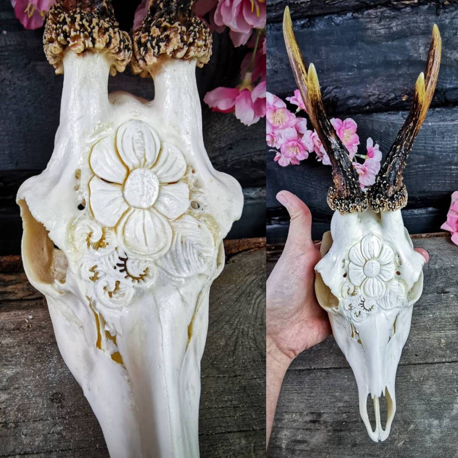 Made to order Real Roe deer skull with engraved ornaments carving gift girlfriend filigree buck unique crystal stone carnelian cornelian