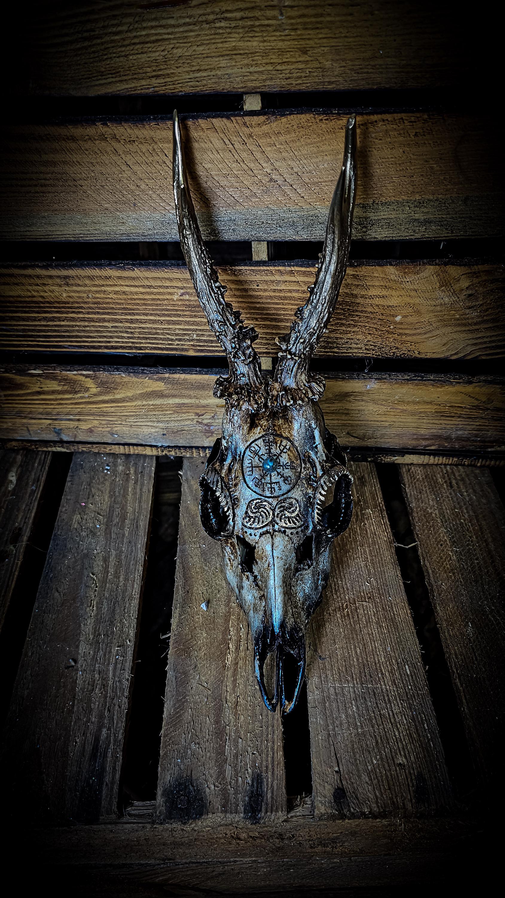 Engraved Roe Deer Skull: Aegishjalmur Vegvisir, Nordic Viking
