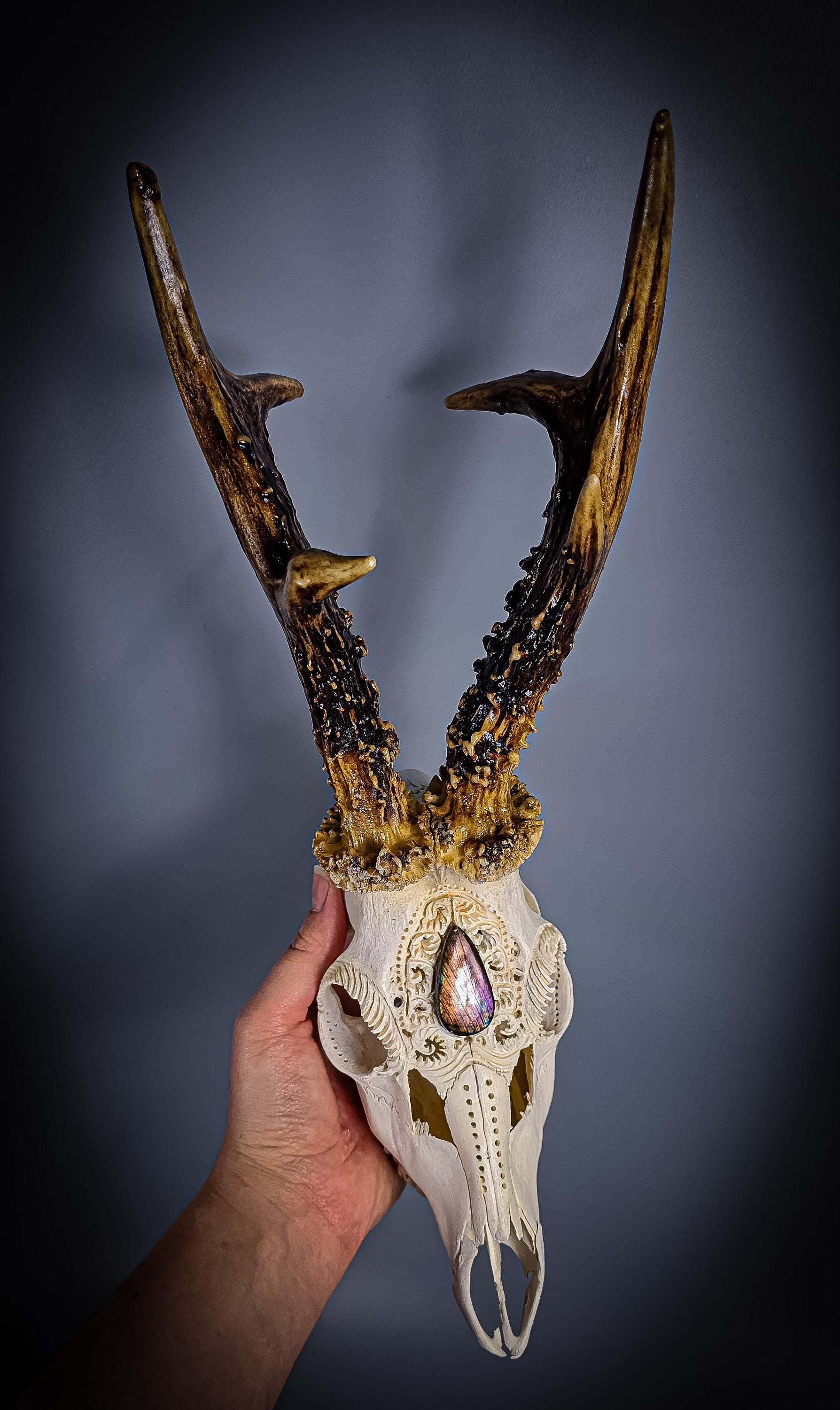 Real Ram Skull Cap - Etsy
