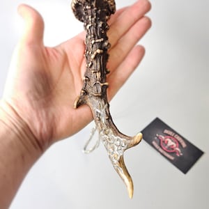 Handmade Roe Deer Antler Pendant: Engraved Runes, Viking Necklace