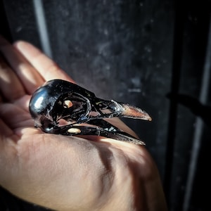 Made to order Real magpie crow skull painted custom commissions possible necklace bird pendant witchcraft Wiccan evil satan bone art