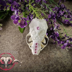 Engraved Mink Skull Ornament: Custom Filigree Design, Rhinestone Detail