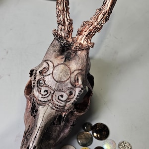 Könnte beinhalten: Ein Hirschschädel mit kupferfarbenem Geweih und dekorativen geätzten Mustern. Der Schädel ist in Grau- und Brauntönen bemalt. Eine Sammlung farbenfroher, runder, dekorativer Steine ist darunter verstreut.