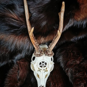 Made to order Roe deer skull engraved huge impressive pentagram 666 evil satan carving gift boyfriend girlfriend mother father buck