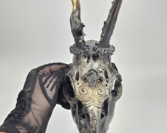 May include: A black and gold deer skull with intricate gold designs and a black gemstone in the center of the forehead.