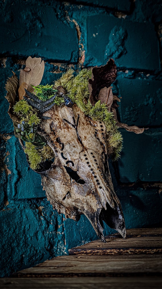 あ*の様 archive Roen scull design real leat Affordable Real Animal Skull Art Roe Deer With Engraved