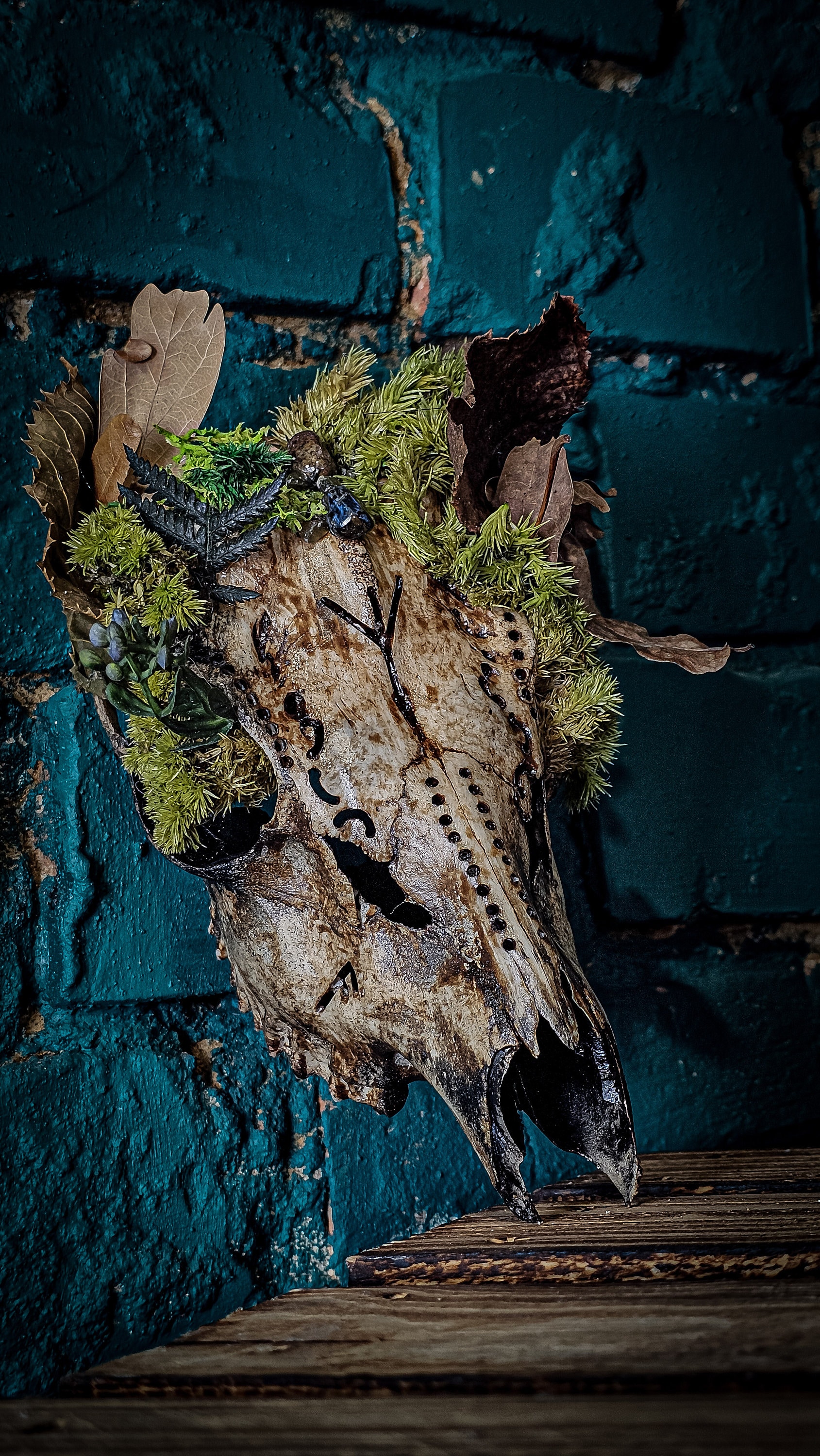 Affordable Real Animal Skull Art Roe Deer With Engraved Design and
