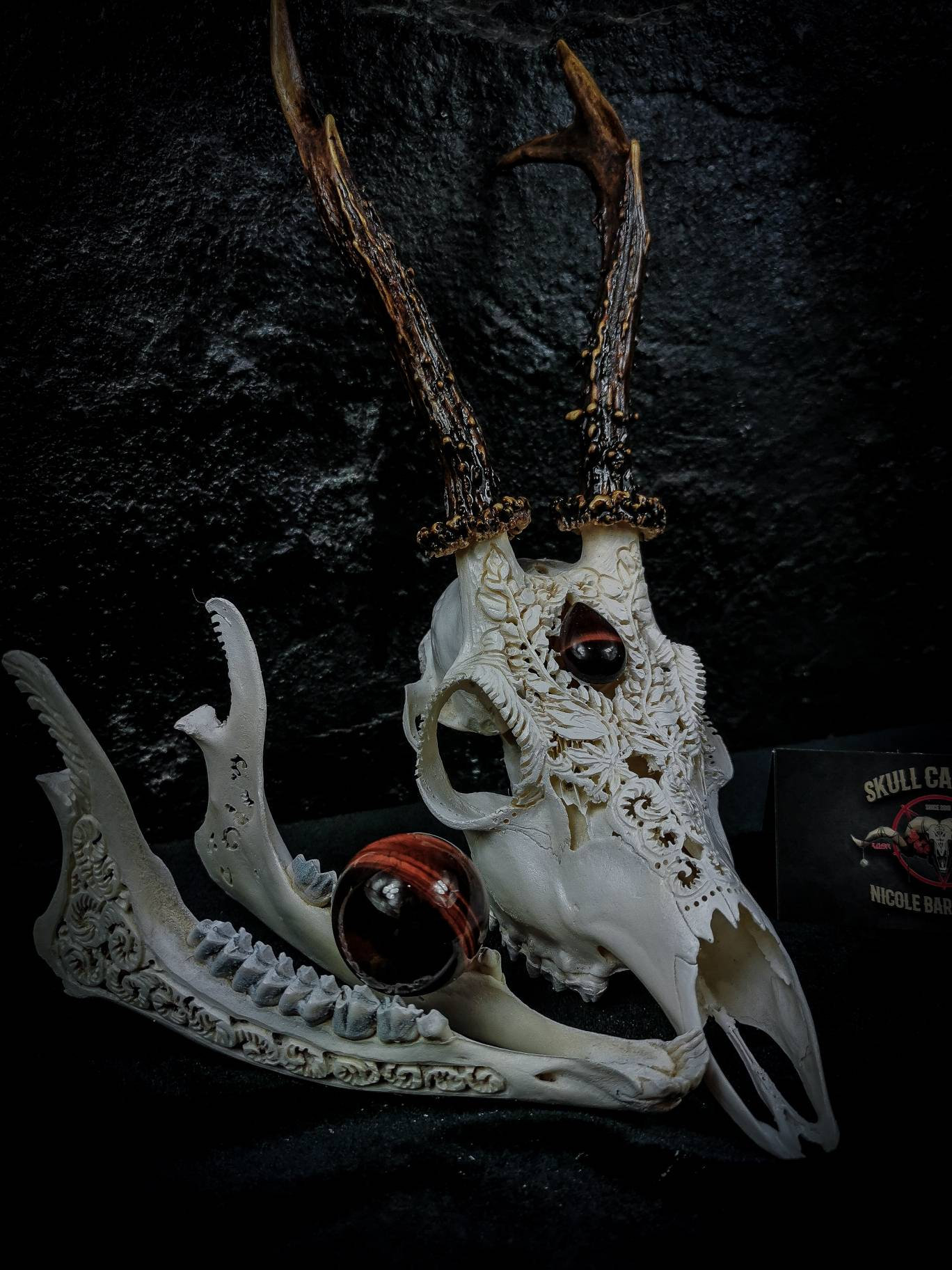 Engraved Roe Deer Skull With Antlers: Red Tiger Eye Stone & Blue