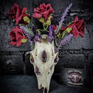 Real Roe Deer Skull Lamp: Amethyst, Roses & Lavender