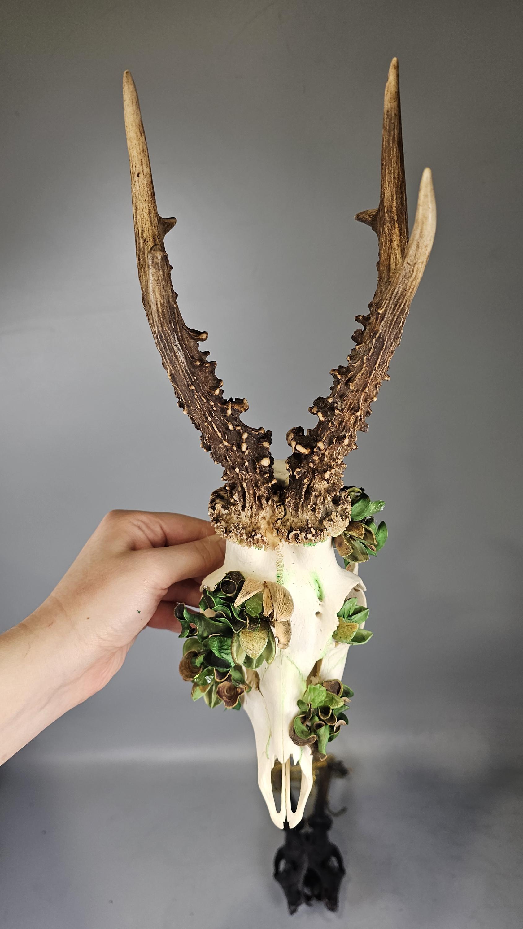 YARNNAKARN Crow&Deer Skull ヤナカーンCarion Crow Skull YARNNAKARN Crow&Deer Skull ヤナカーンCarion Crow Skull