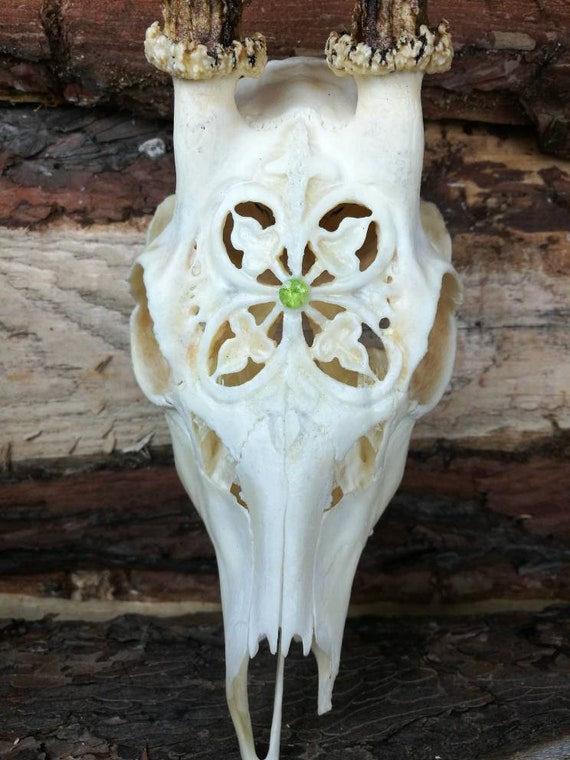 Made to order Real Roe deer skull with engraved ornaments carving gift girlfriend filigree buck unique crystal stone carnelian cornelian