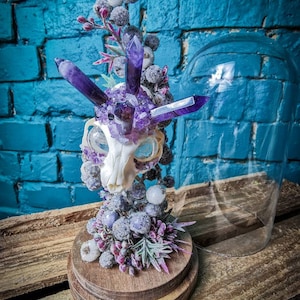 Amethyst Crystal Skull in Glass Dome: Handmade Oddities Decor
