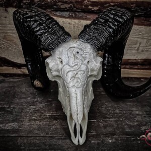 Könnte beinhalten: Ein weißer Widderschädel mit schwarzen Hörnern, kunstvoll mit einem Schlangenmuster geschnitzt. Der Schädel ist auf einem Holzgrund montiert.