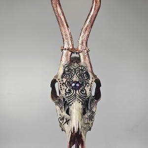 Real roe deer skull art with engraved design and  cabochon rosegold gray oval