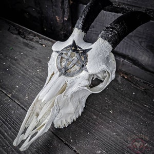 MADE TO ORDER adult goat skull  short horns engraved pentagram painted red black real bone gift idea evil 666 satan ave samael devil