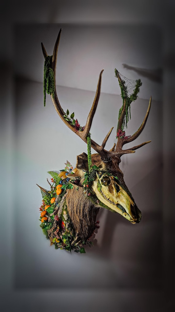 European Deer Taxidermy Mount, Tiger Eye, Forest Moss Art - Etsy