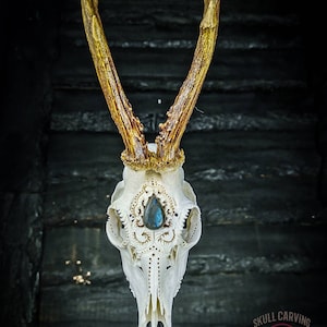 Skull Carving Nicole Bartkowiak | Made to order! Real Roe deer with flourish ornaments gift idea filigree buck cabochon blue labradorite LED