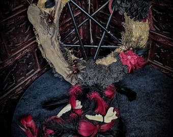 Straw Door wreath real raccoon jaw black moss plants ferns red witch pentagram witchcraft pagan forest root pine feathers burgundy
