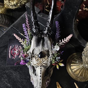 May include: A white deer skull with black antlers, decorated with gold paint, moss, and purple, pink, and white flowers. The skull is mounted on a black wall with a gold cup and a sticker that says "Skull & Viking" and "Middle Barton, Northants".