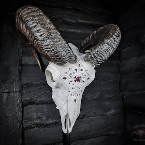 May include: White ram skull with intricate carvings and a red gemstone in the center. The skull is mounted on a black stand. "Skull Carving" and "Mickle Bartholomew" are written on a small sign below the skull.