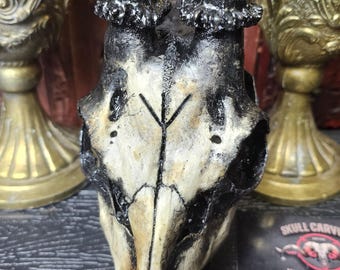 Engraved Roe Deer Skull Art: Aged Norse Pagan Decor